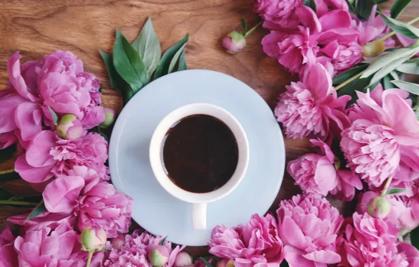 Картинка цветы, розовые, wood, pink, flowers, cup, пионы, coffee