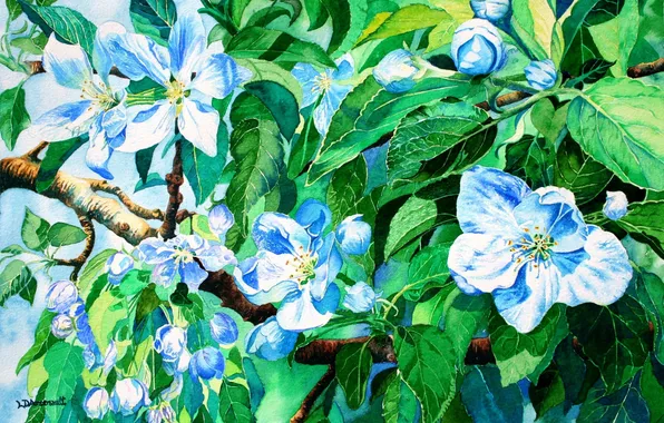 Картинка листья, цветы, зеленый, голубой