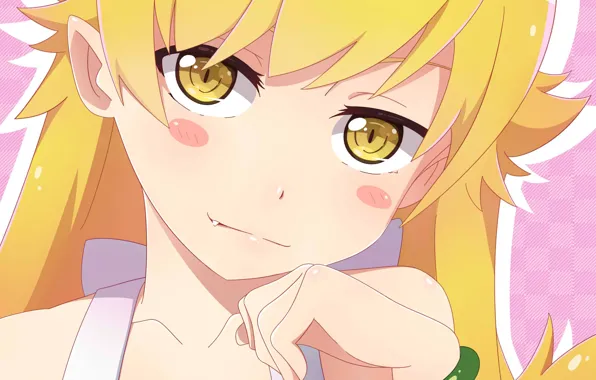 Взгляд, девочка, Bakemonogatari