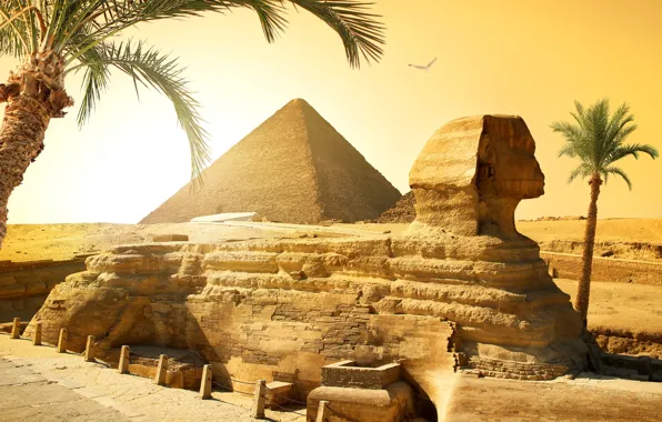 Картинка солнце, камни, пальмы, птица, пустыня, пирамида, Египет, сфинкс