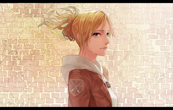 Слезы, профиль, эмблема, кирпичная стена, Shingeki no Kyojin, Annie Leonhart, Вторжение гигантов