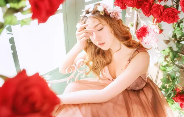 Картинка девушка, свет, цветы, лицо, поза, портрет, розы, руки
