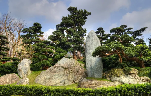 Трава, деревья, парк, камни, Гонконг, Китай, Nan Lian Garden