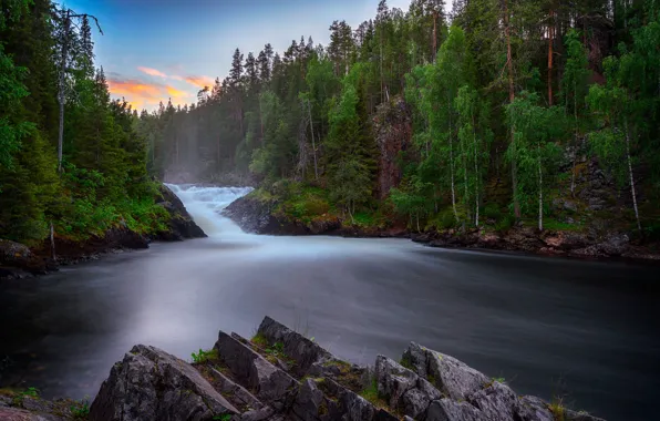 Картинка лес, река, утро
