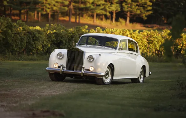 Rolls-Royce, 1961, front view, Ringbrothers, Silver Cloud, Rolls-Royce Silver Cloud II, Rolls-Royce Silver Cloud II …