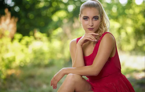 Взгляд, лицо, фон, Sophia
