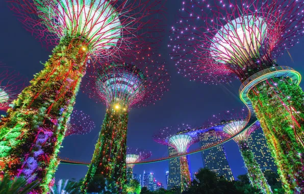 Картинка парк, Сингапур, иллюминация, Singapore, Gardens by the Bay, Сады у Залива, сверхдеревья, Supertree Grove