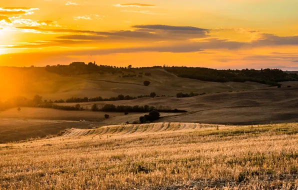 Картинка поле, свет, закат
