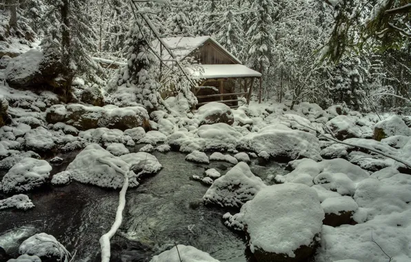 Картинка лес, снег, деревья, камни, Зима, мороз, forest, trees