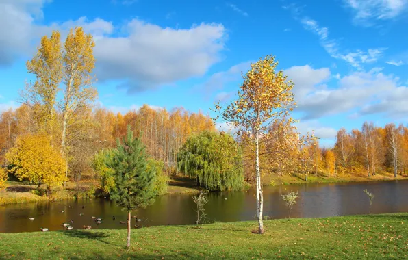 Осень, пейзаж, природа, парк, красота, октябрь, золотая осень