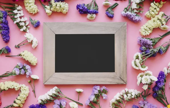 Цветы, весна, рамка, colorful, хризантемы, wood, flowers, spring