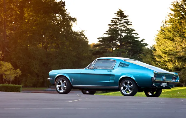 Синий, Mustang, Ford, 1967, Fastback, боком