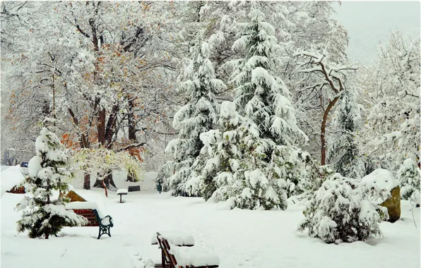 Park, Снег, Trees, Зима, Парк, Скамейки, Деревья, Snow