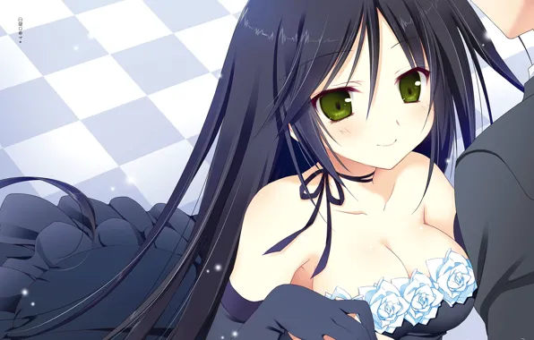 Девушка, Розы, Декольте, Juuoumujin no Fafnir