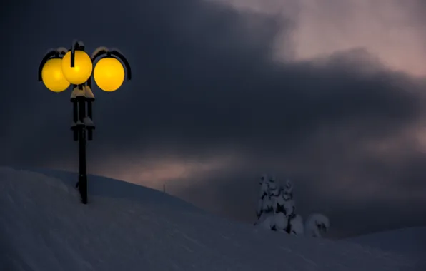 Storm, winter, snow, lamppost