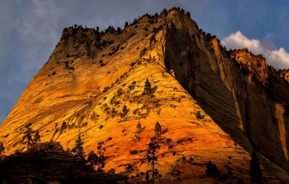 Солнце, облака, деревья, горы, скалы, Юта, США, Zion National Park