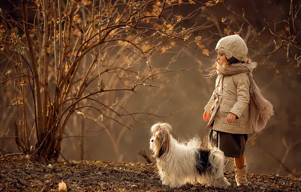Картинка осень, ветки, природа, животное, куст, собака, девочка, ребёнок