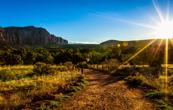 Картинка солнце, деревья, горы, arizona, The Sun Also Rises