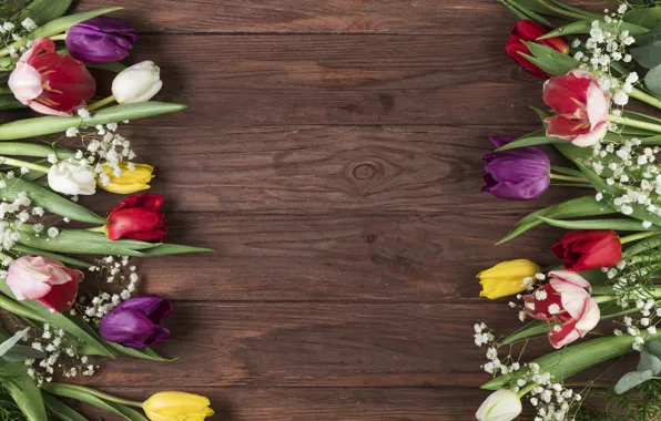 Цветы, colorful, тюльпаны, flowers, beautiful, tulips, spring, multicolored