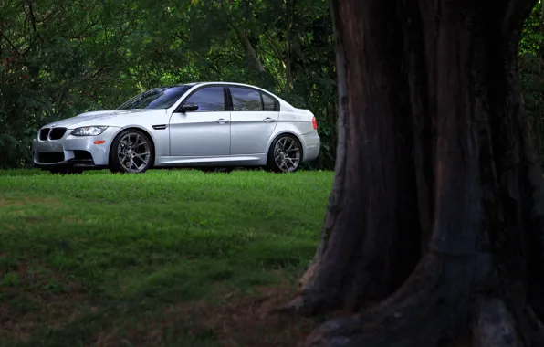 Картинка BMW, Grass, Sedan, E90, Silver