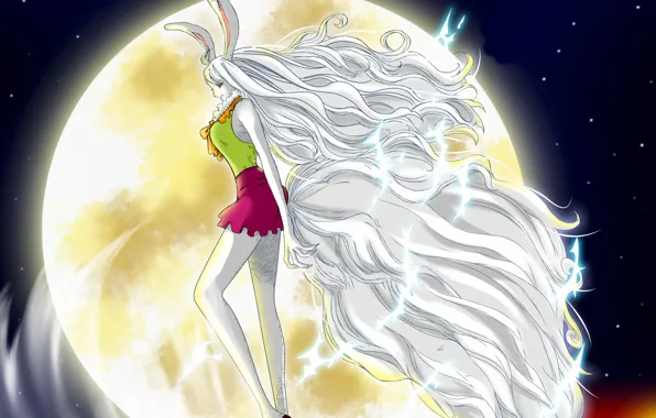 Kawaii, game, One Piece, long hair, rabbit, anime, lion, warrior