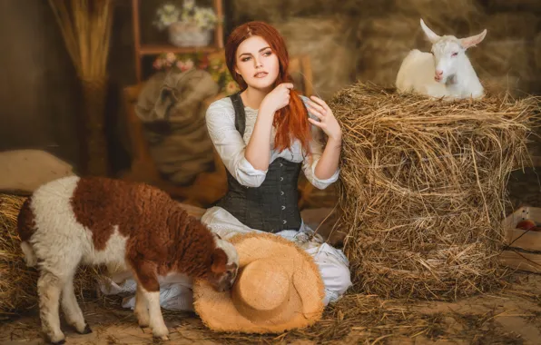 Картинка девушка, шляпа, сено, рыжая, барашек, рыжеволосая, овечка, коза