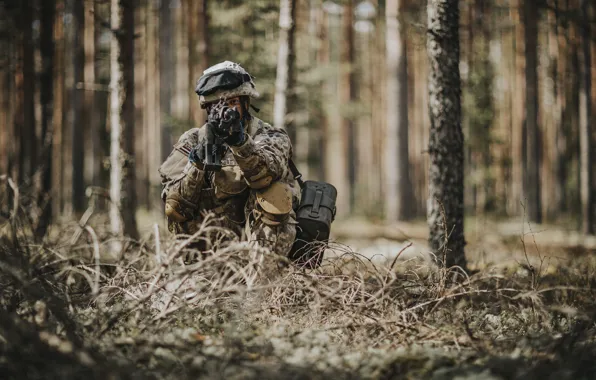 Картинка оружие, армия, солдат, Latvian Army