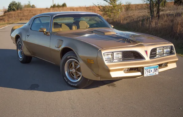 Картинка Pontiac, 1978, Gold, Trans