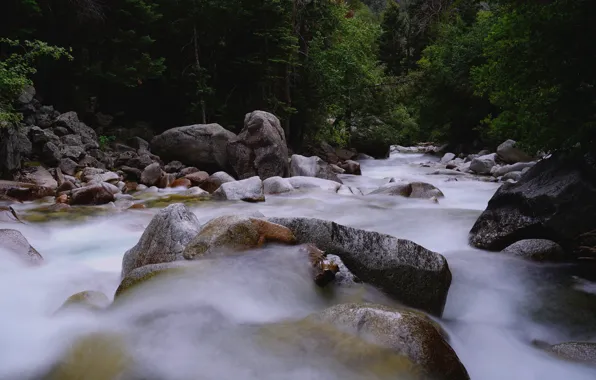 Картинка лес, деревья, река, камни, США, Cottonwood