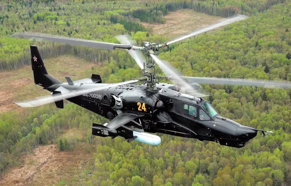Картинка Вертолет, ВВС, России, Ударный, Чёрная акула, КА-50, Hokum A