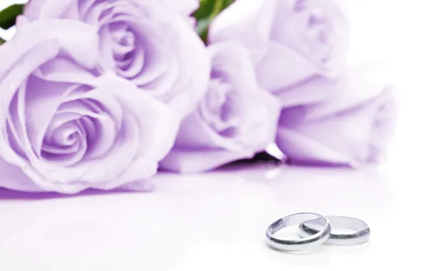 Картинка цветы, ткань, flowers, обручальные кольца, cloth, wedding rings, lilac roses, сиреневые розы