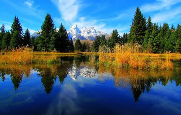 Небо, деревья, горы, озеро, отражение, ель, Вайоминг, США