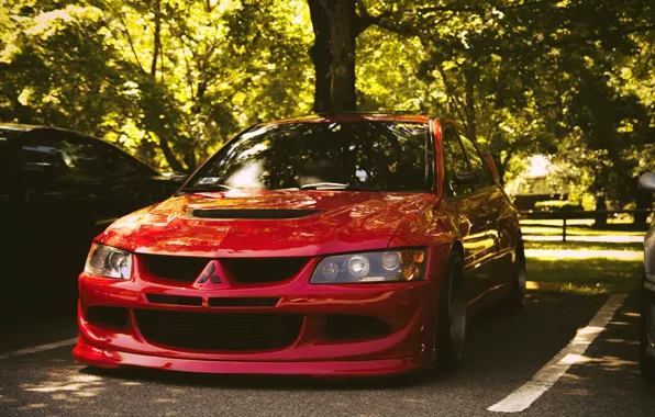 Evolution, evo9