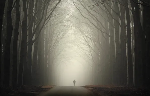Картинка дорога, осень, лес, туман, человек