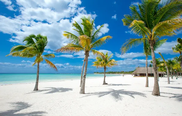 Песок, море, пляж, лето, небо, пальмы, summer, beach