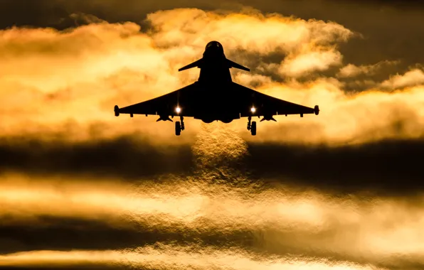 Оружие, самолёт, Typhoon