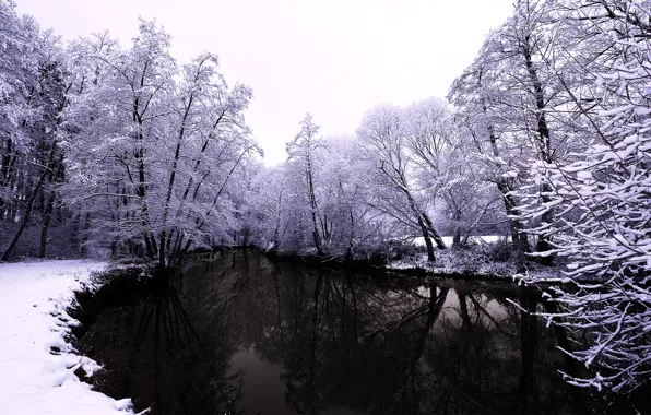 Картинка зима, лес, вода, снег, деревья, природа, река