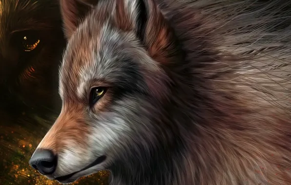 Graphics, art, wolf, wool