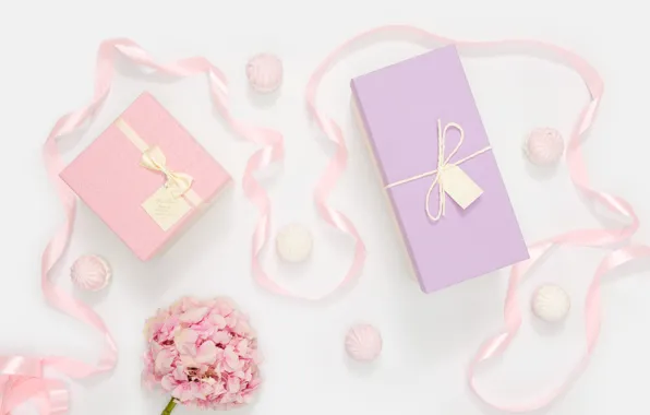 Цветок, праздник, подарки, зефир, Celebration, Birthday