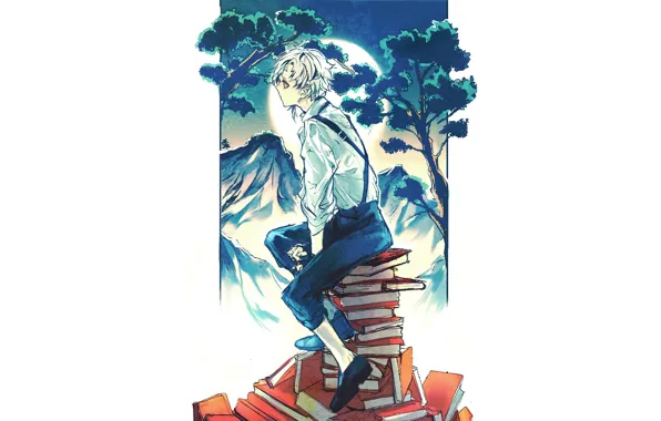 Книги, парень, Bungou Stray Dogs, Бродячие Псы: Литературные Гении, Атсуши Накаджима