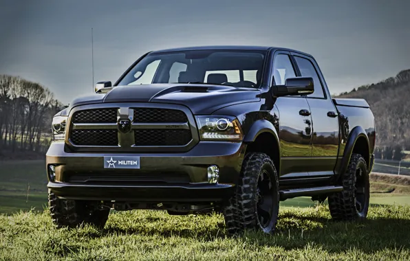 Картинка трава, Dodge, пикап, Ram, 2017, 1500 RX Crew Cab, Militem