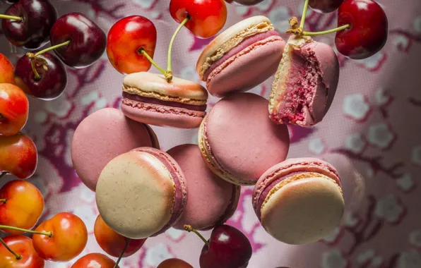 Печенье, черешня, выпечка, dessert, macaron, макарун