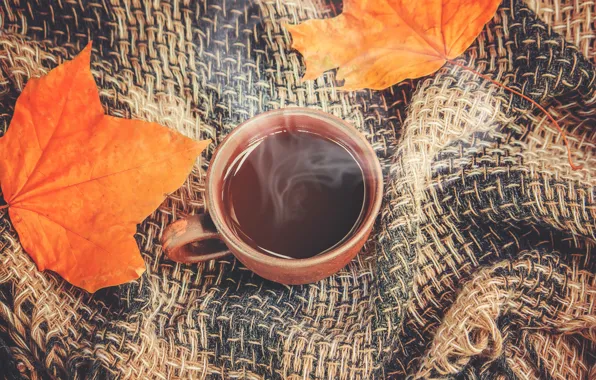 Картинка осень, листья, плед, wood, autumn, leaves, coffee cup, чашка кофе