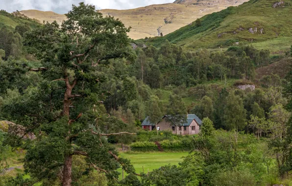 Картинка лес, деревья, горы, дома, Шотландия, Glenfinnan House