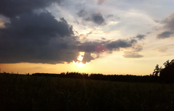 Солнце, Небо, Поле, Туча