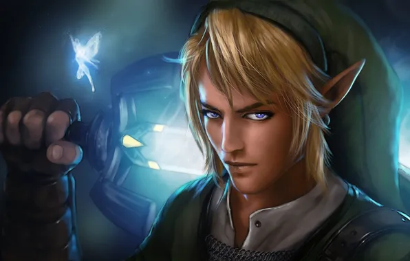 Взгляд, эльф, меч, фея, парень, The Legend of Zelda, Link