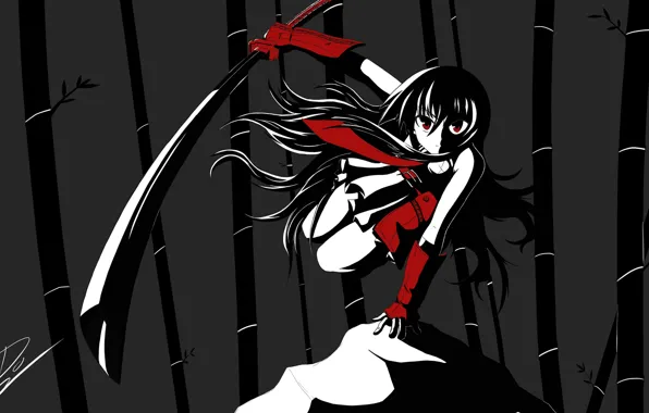 Катана, Akame, Akame ga kill, убийца Акаме, night raid
