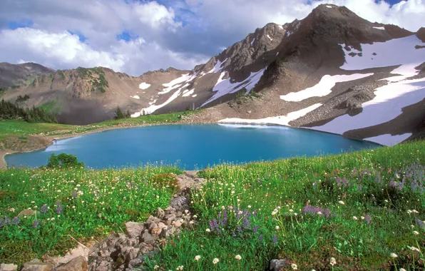 Цветы, горы, озеро