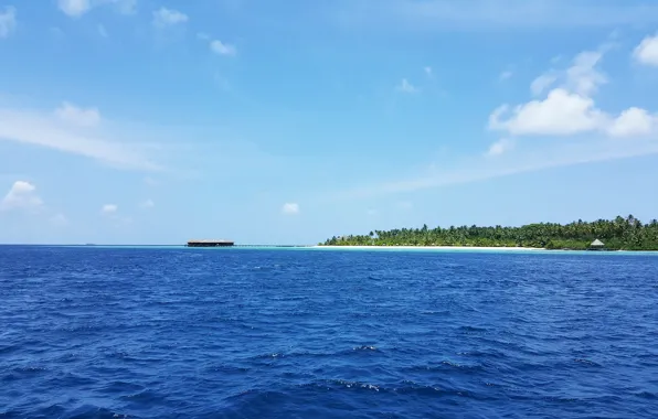 Пляж, тропики, пальмы, океан, остров, белый песок, Maldives