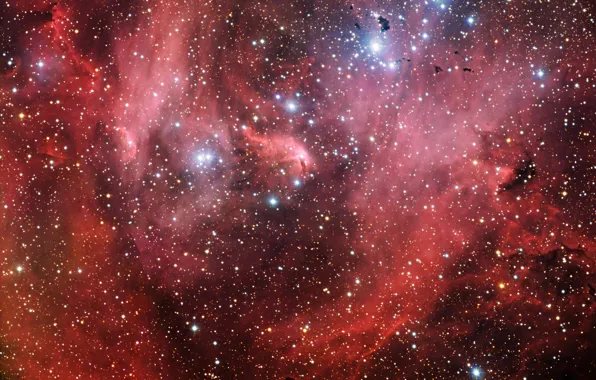 Картинка туманность, Центавра, Лямбда, IC 2944